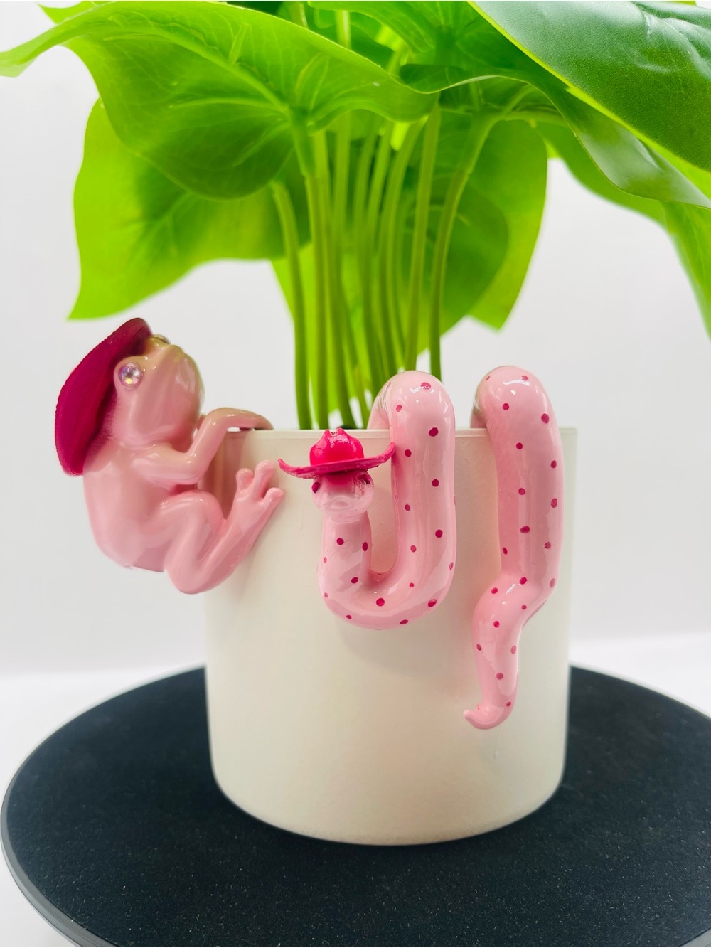 The “Pink Outlaw” Collection - Frog and Mini Snake Plant Decor Pot Hugger